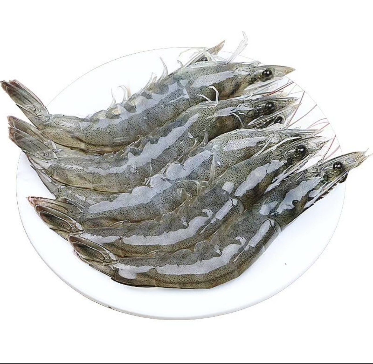 【活鲜】明虾/对虾（大 出水不易存活）约600g/份