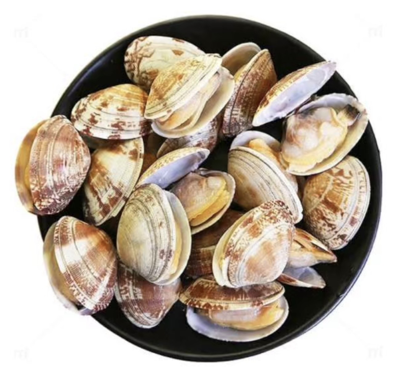 【活鲜】大花甲/大花蛤约400g/份